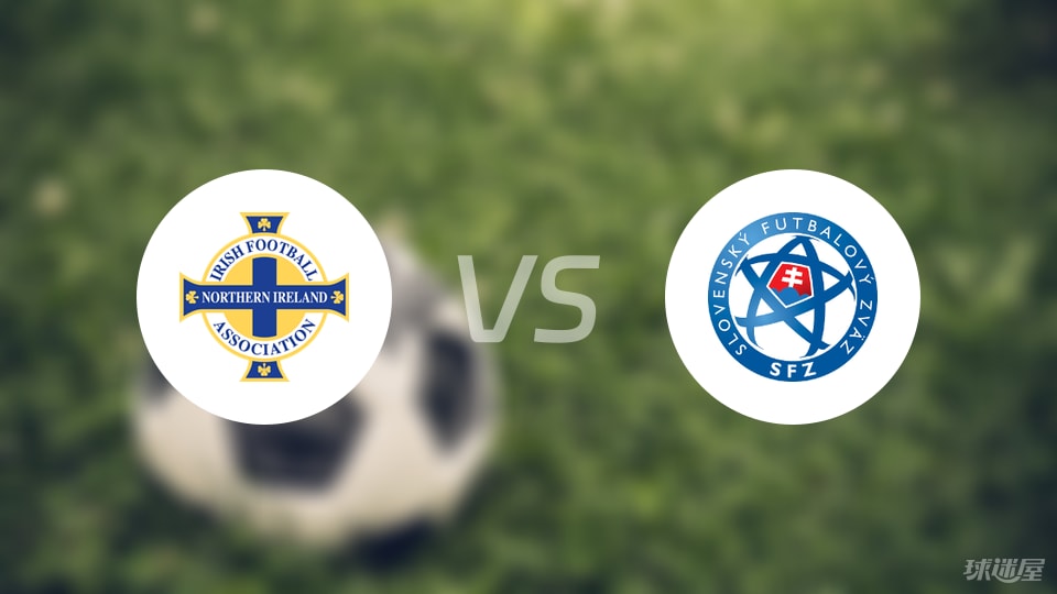 门将, 肩部受伤