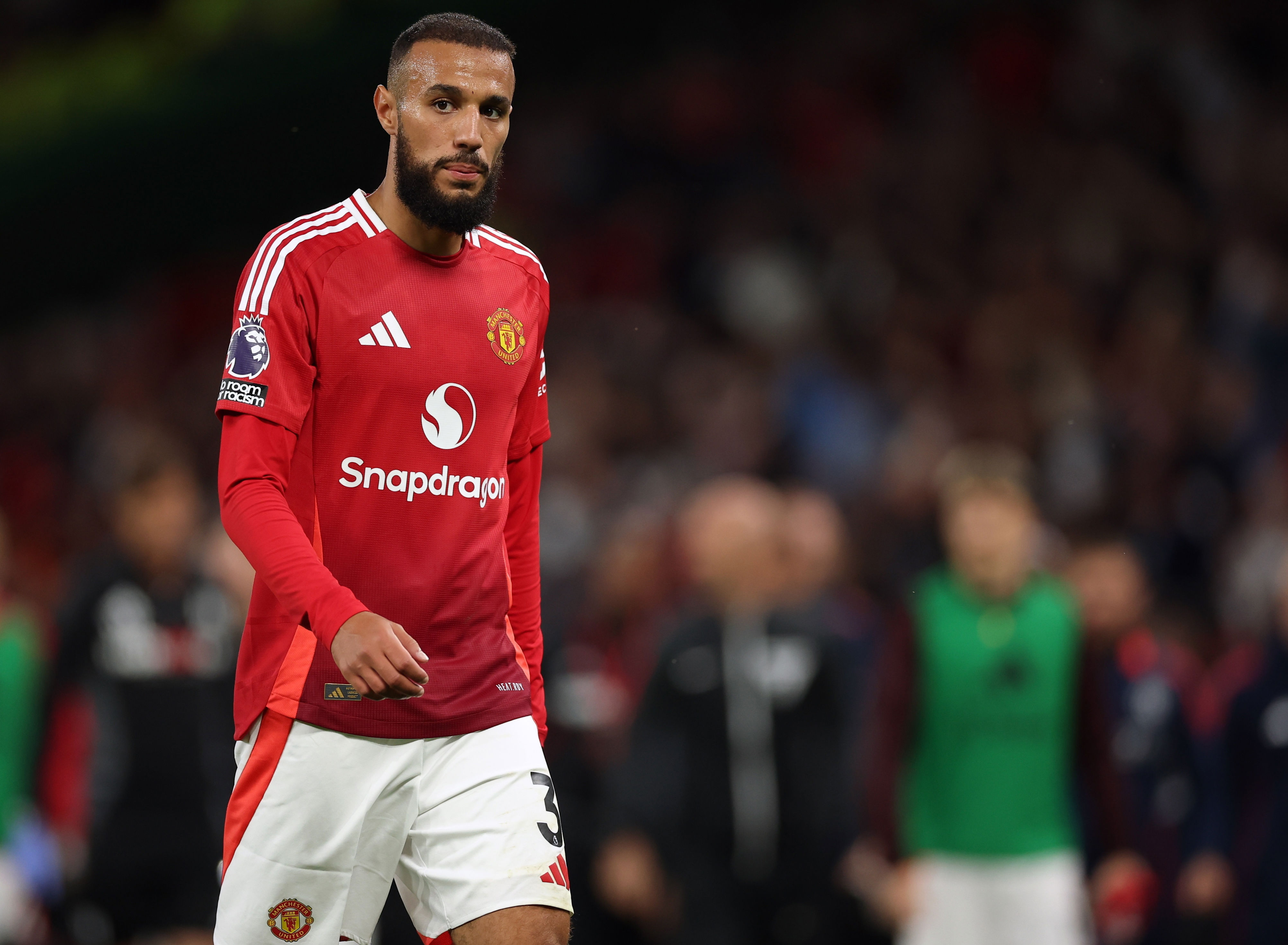 间周日晚间 间周日晚间